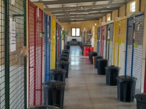 residencia canina