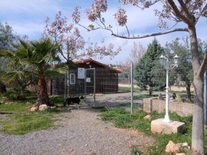 residencia canina